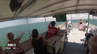 Egmont Key Ferry Hidden treasure of Tampa Bay [upl. by Granniah182]