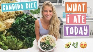 CANDIDA Diet » WHAT I ATE Today [upl. by Adnak]