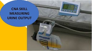 PROMETRIC CLINICAL SKILL MEASURING URINARY OUTPUT FROM CATHETER BAG 2022 [upl. by Akemak]