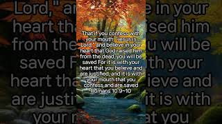 Romans 10910 Before you start your day word prayer praise grace faith appreciation joy [upl. by Ysdnil]