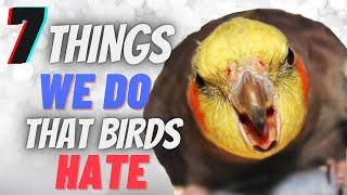 7 Things we do that our birds hate [upl. by Esertak]