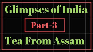 Glimpses of India Part3Tea from Assam Class 10 Line by Line Hindi explanation [upl. by Noffets]