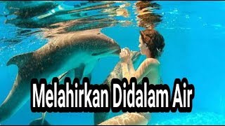 Melahirkan Didalam Air Water Birth [upl. by Durrej]