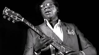 ALBERT KING  Live in Washington DC 1981  Full Album [upl. by Jac]