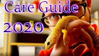 Leopard Gecko Complete Care Guide 2020 [upl. by Kassie]