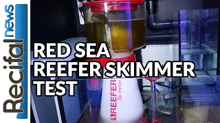 Red Sea Reefer Skimmer  Test et avis [upl. by Blakelee309]