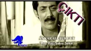 ANKARALI TURGUT  İKİ ELİM YAKANDADIR [upl. by Esinyt]