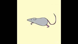 Rat Run Cycle Animation [upl. by Swigart590]