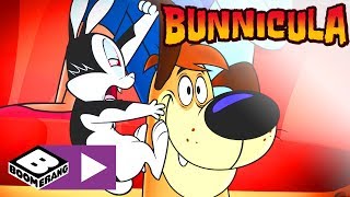 Bunnicula  Unsichtbarer Bunnicula  Cartoonito [upl. by Aymahs501]