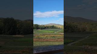 Fishkill Farms NY upstateny newyorkstate family travel relaxing iloveny [upl. by Ahsiekan635]