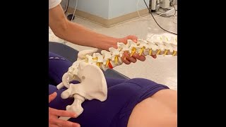 Posterior Pelvis amp Lumbar Palpation [upl. by Akimyt]