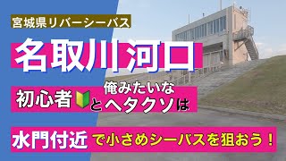 第二十七話 宮城県名取川河口水門付近 リバーシーバス 初心者 其の1 [upl. by Deny]