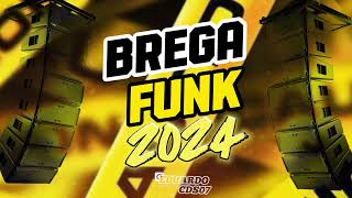 BREGA FUNK 2024melhoresmomentos 2024 divulgação [upl. by Seek660]