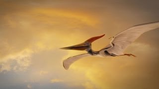 How Were Pterosaurs Adapted for Flight [upl. by Thagard]