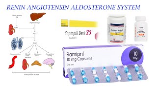 ACE INHIBITORS AND RAAS MECHANISM [upl. by Prissy647]