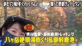 【長野の絶景】横谷温泉♨滝めぐりと御射鹿池（みしゃかいけ）トレッキング！紅葉の渓谷を堪能してきた🍁 [upl. by Neenej]