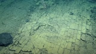 Yellow Brick Road at Bottom of Ocean [upl. by Armitage]