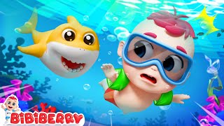 Baby Shark  Safety Song For Kids  Bibiberry Nursery Rhymes amp Kids Songs [upl. by Sanborn]