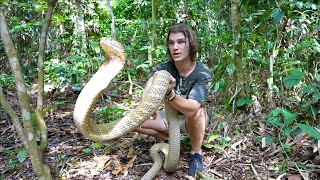 Worlds Most VENOMOUS Snakes DOCUMENTARY King CobraInland TaipanReticulated Python [upl. by Sivek]