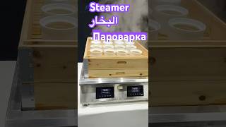 Countertop Steamer with Automatic Water Filling – Perfect for Steaming Buns Dumplings and Soups [upl. by Bartolome]