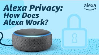 Alexa Privacy How Does Alexa Work [upl. by Ephram]