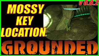 Mossy Key Location for Treasure Chest in Grounded [upl. by Omrellig968]