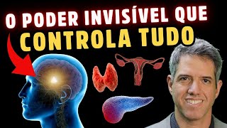 COMO DESBLOQUEAR a Função da GLÂNDULA DO CÉREBRO HIPOTÁLAMO COM 10 DICAS NATURAIS  Dr Alain Dutra [upl. by Tager]