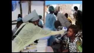 What is Ebola virus all about Know it HINDI [upl. by Fitalludba]