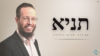 ישיבת חב״ד רמת אביב בשידור חי [upl. by Suneya]