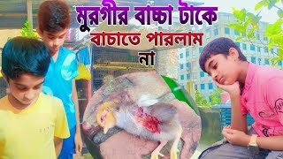 মুরগীর বাচ্চা বাচাতে পারলাম না  Murgir Baccha Bachate Parlam Na  Chacha amp Bhatija Mini Zoo [upl. by Aromat]