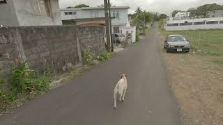 Village Plaine Magnien Mauritius [upl. by Carlene]