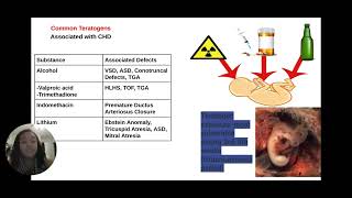 Lessons 1 amp 2Introduction to Fetal EchocardiographyNormal Heart Anatomy [upl. by Dasi977]