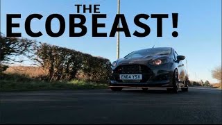 THE ECOBEAST  180BHP Turbo Fiesta ZS Review [upl. by Gabriella]