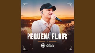 Pequena Flor [upl. by Altis371]