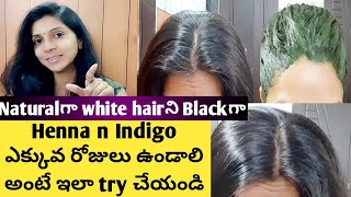 Hair Damage కాకుండా white hairని blackగాHenna n Indigo ఎక్కువ రోజులు ఉండాలి అంటే ఇలా try చేయండి [upl. by Ehtylb]