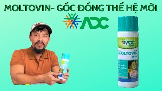 Moltovin 380SC Cty ADC GỐC ĐỒNG THẾ HỆ MỚI GIẢI QUYẾT NÓNG BÔNG  ĐIỀN RÂU ĐÁNH GIÁ CHI TIẾT [upl. by Aleekat]