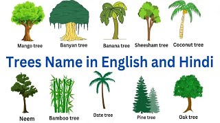 Trees name  30 Trees vocabulary  Spelling and image of tree for kids learning [upl. by Stclair]