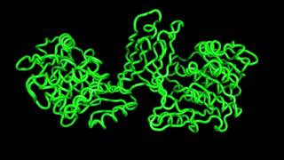 Structures of Burkholderia thailandensis nucleoside kinase  1 [upl. by Adamina]