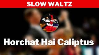 SLOW WALTZ music  Horchat Hai Caliptus [upl. by Sax598]