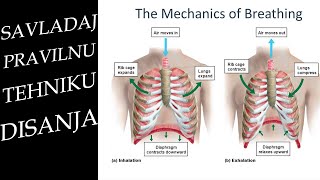 Disanje  Vježbe Disanja  Disanje Dijafragmom  Disanje za smirenje [upl. by Ardella655]