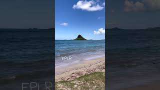 Windward Oahu shorts 4k beach [upl. by Aicitel]