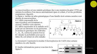 Exercice 1 la génétique humaine [upl. by Irra]