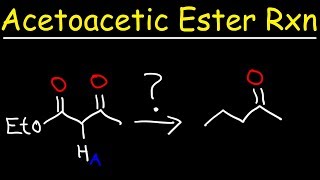 Acetoacetic Ester Synthesis Reaction Mechanism [upl. by Arikaahs521]