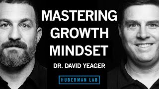 Dr David Yeager How to Master Growth Mindset to Improve Performance [upl. by Ress659]