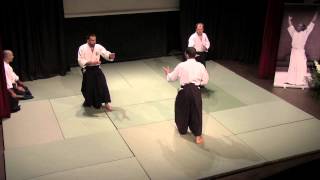 NAMT 2013 avec Xavier Fleury AIKIBUDO [upl. by Terrance]