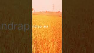 Prem pahadi Chandrapura C T P S song jharkhand newsong [upl. by Einnig]