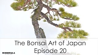 The Bonsai Art of Japan  Episode 20mov [upl. by Akehsyt]