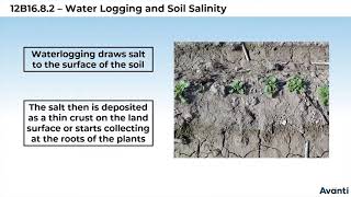 4 12B168 CV2 Water Logging and Soil Salinity [upl. by Allbee425]