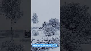 Winter in Norway 2024 winter norway snow beautiful senja [upl. by Esimaj]