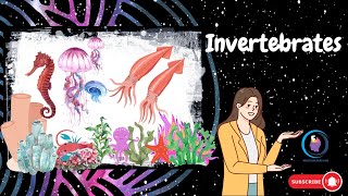 Characteristics of Invertebrates [upl. by Kreit]